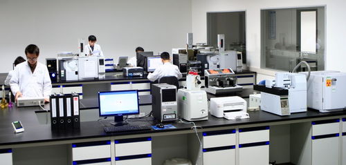 从实验到趣味 解析食品理化实验室质量控制与科学实验玩具的双重智慧
